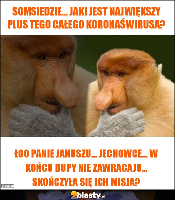 Somsiedzie... Jaki jest największy plus tego całego koronaświrusa?