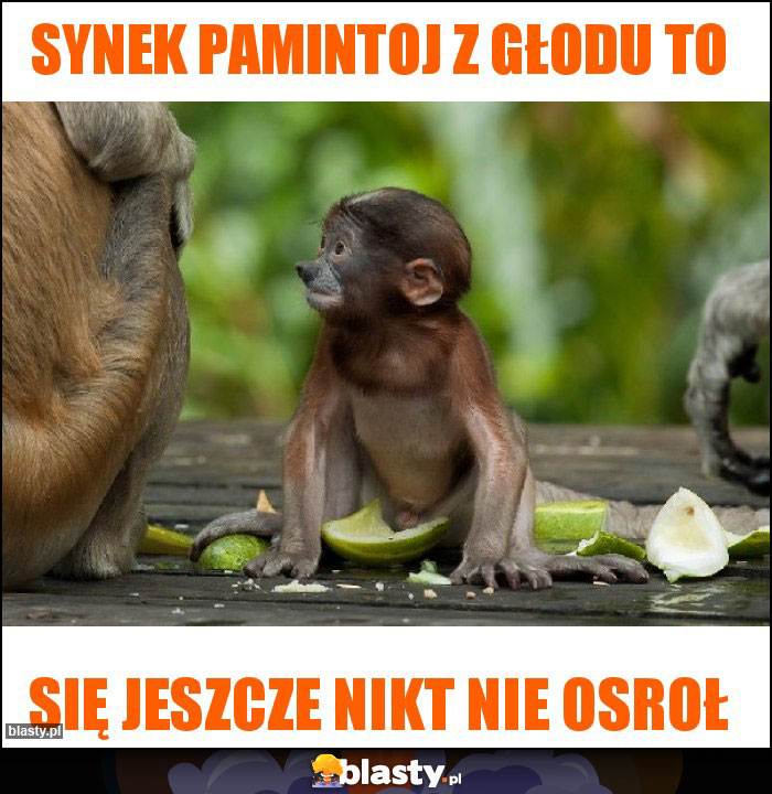 Synek pamintoj z głodu to