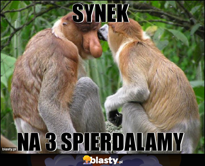 Synek