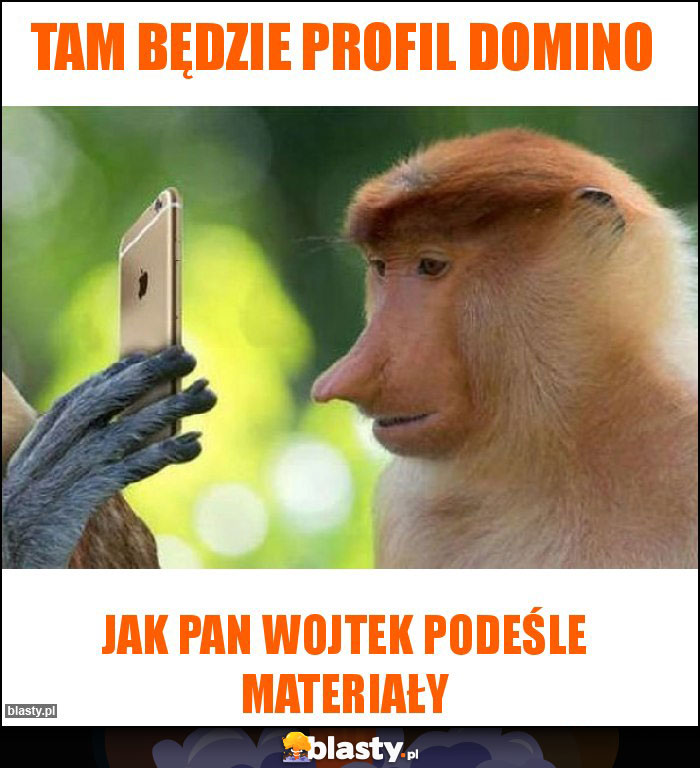 TAM BĘDZIE PROFIL DOMINO