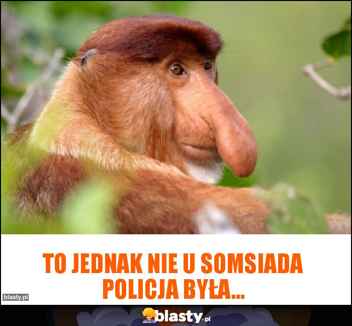 to jednak nie u somsiada policja była...