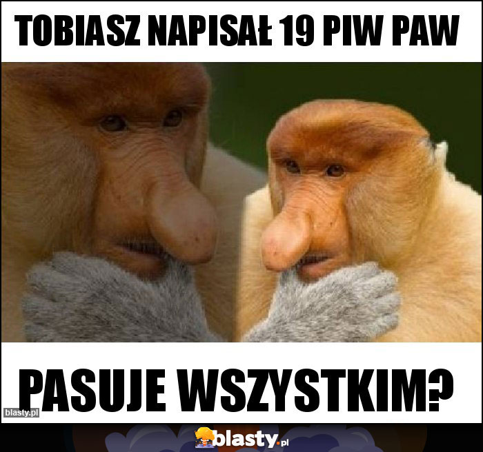 Tobiasz napisał 19 Piw Paw