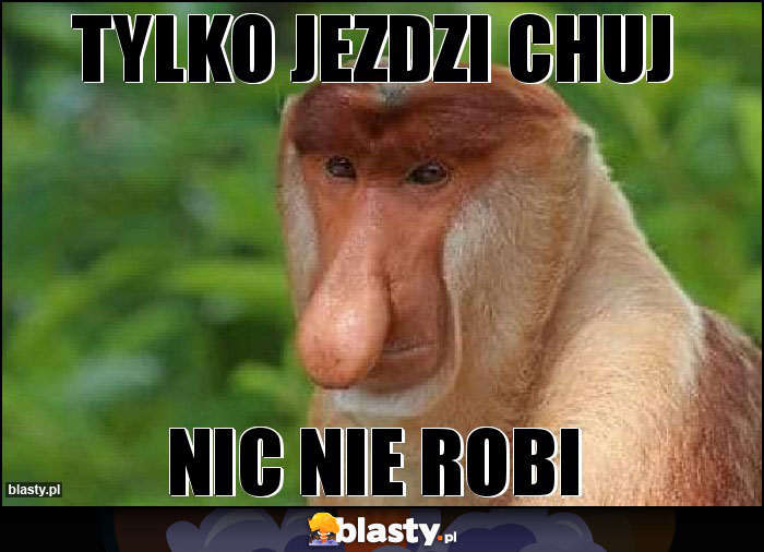 Tylko jezdzi chuj