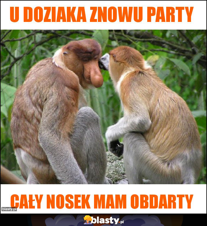 U doziaka znowu party