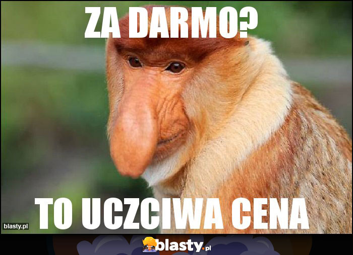 ZA DARMO?