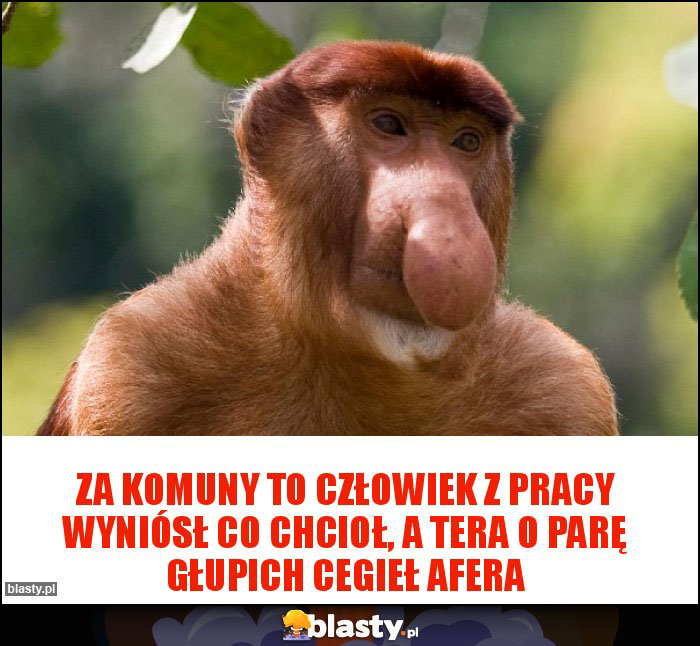 Za komuny to człowiek z pracy wyniósł co chcioł, a tera o parę głupich cegieł afera