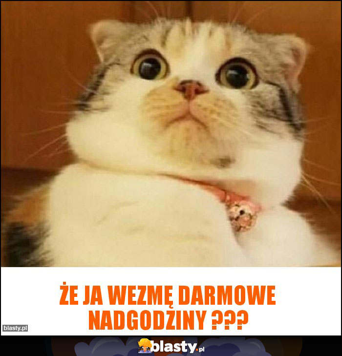 Że ja wezmę darmowe nadgodziny ???