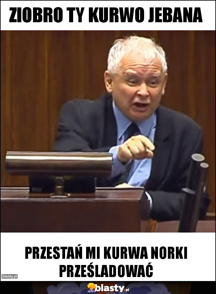 Ziobro Ty kurwo jebana