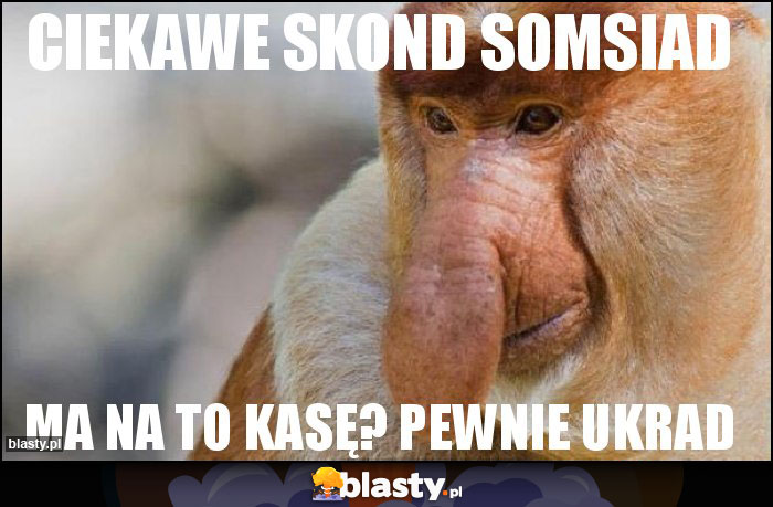 CIEKAWE SKOND SOMSIAD