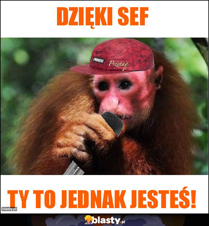 Dzięki Sef