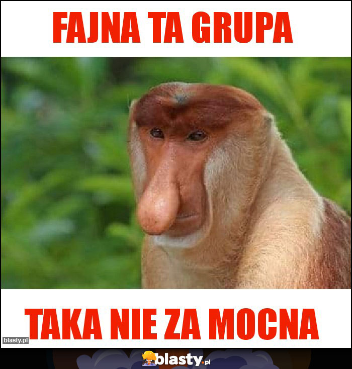 Fajna ta grupa