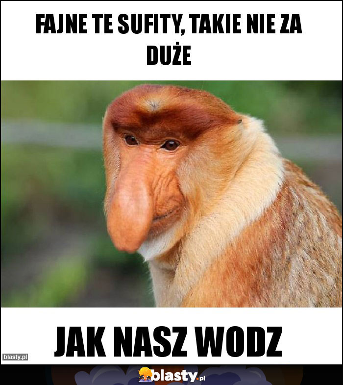 Fajne te sufity, takie nie za duże