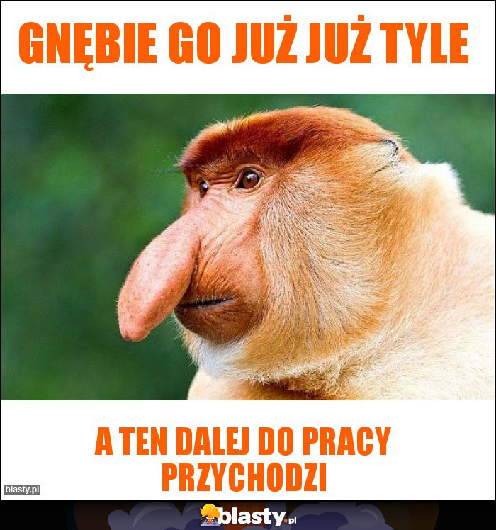 Gnębie go już już tyle