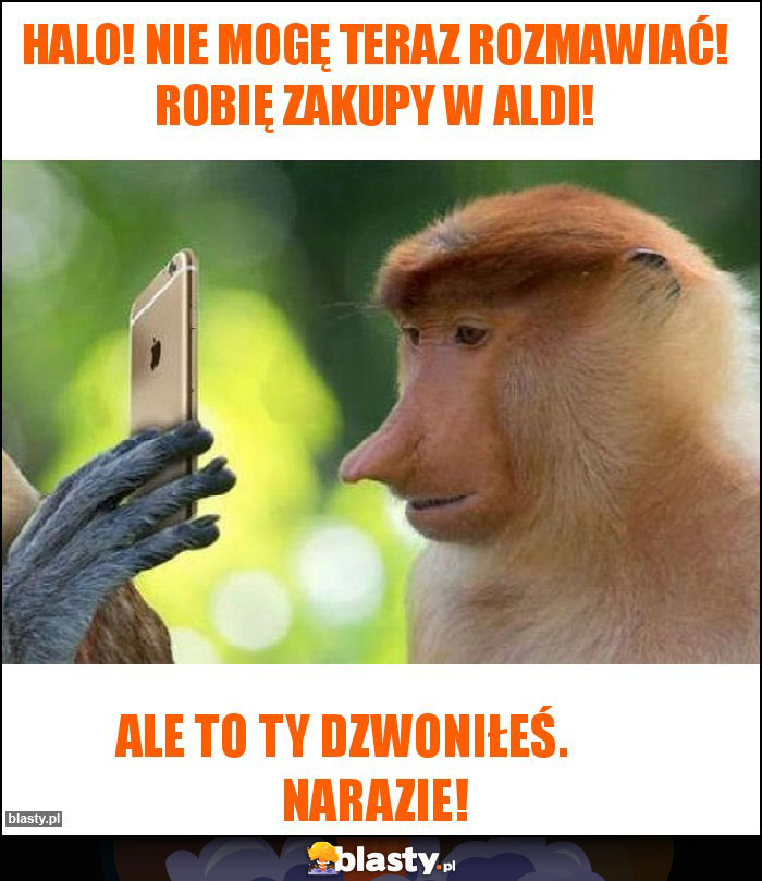 Halo! Nie mogę teraz rozmawiać! Robię zakupy w ALDI!