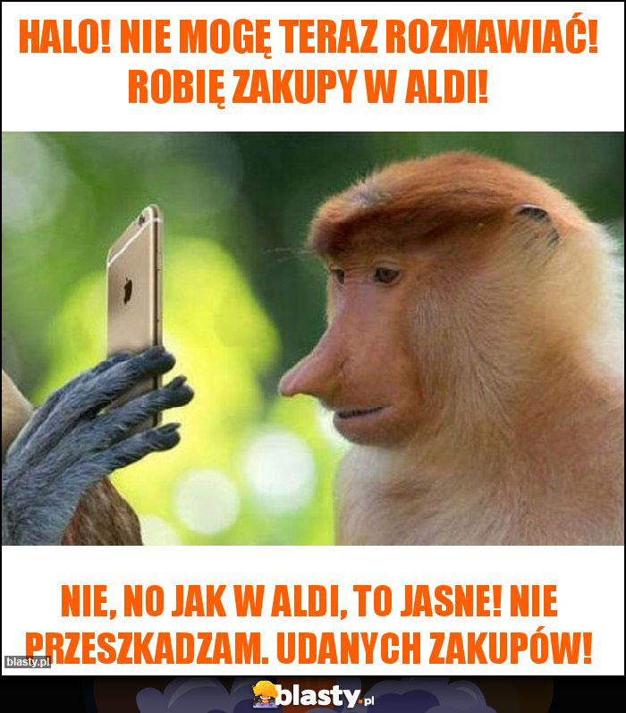 Halo! Nie mogę teraz rozmawiać! Robię zakupy w ALDI!