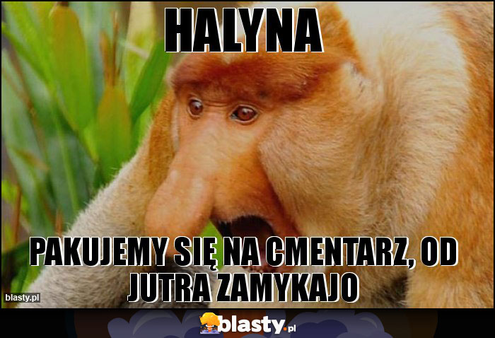 HALYNA