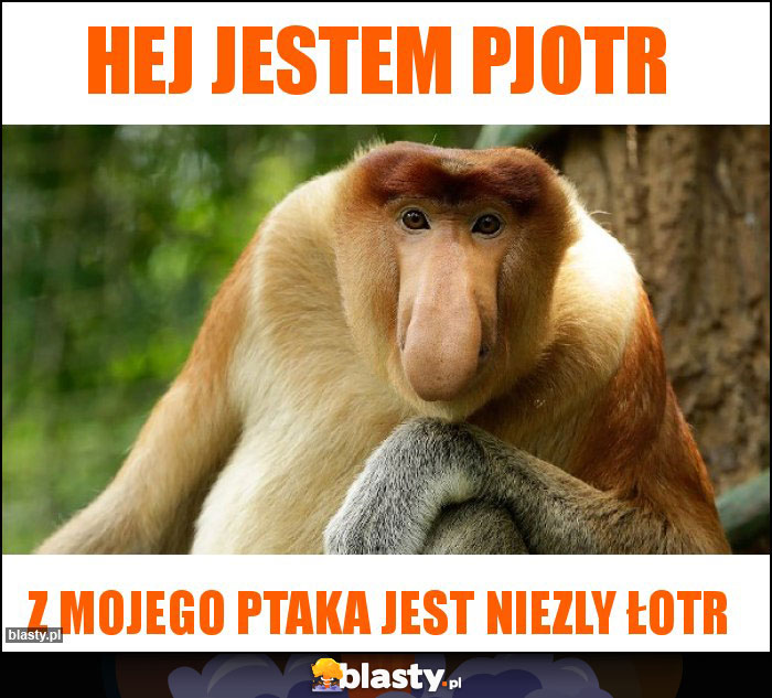 Hej jestem Pjotr