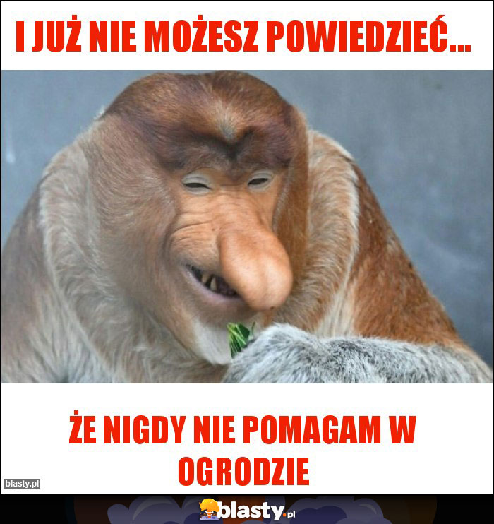 I już nie możesz powiedzieć...