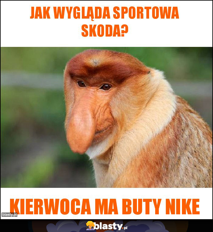 Jak Wygląda Sportowa Skoda?