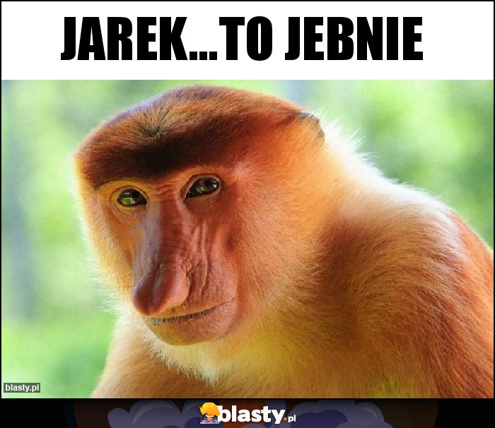 Jarek...To jebnie