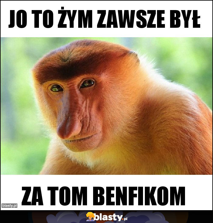 Jo to żym zawsze był