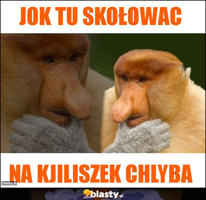 Jok tu skołowac