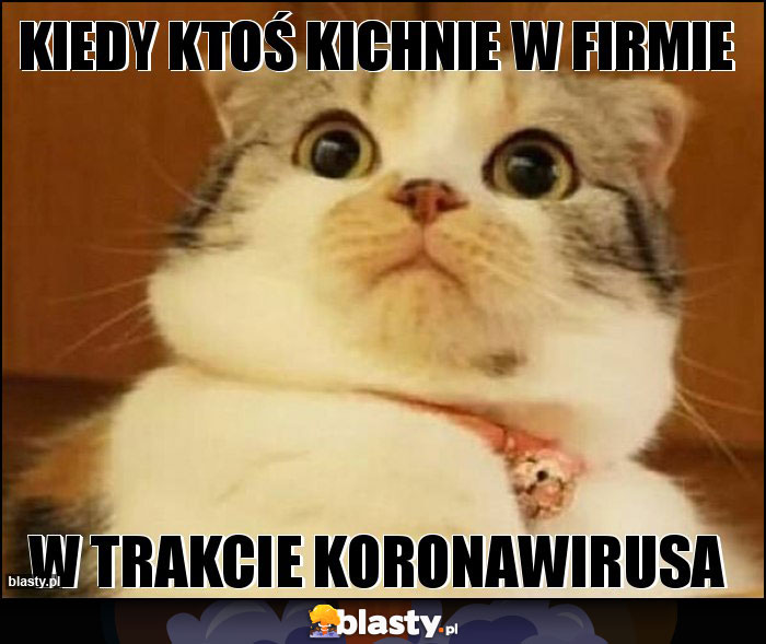 Kiedy ktoś kichnie w firmie