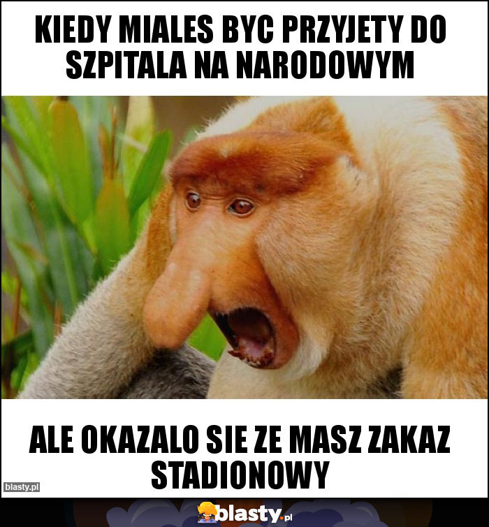 KIEDY MIALES BYC PRZYJETY DO SZPITALA NA NARODOWYM