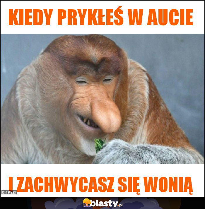 Kiedy prykłeś w aucie