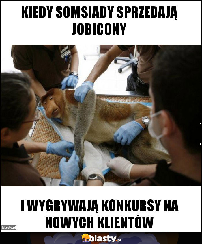 kiedy somsiady sprzedają Jobicony