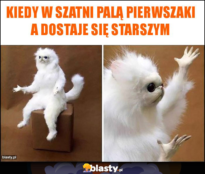 Kiedy w szatni palą pierwszaki a dostaje się starszym