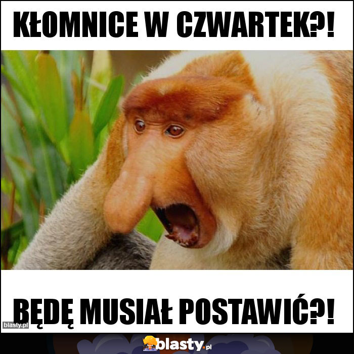 kłomnice w czwartek?!