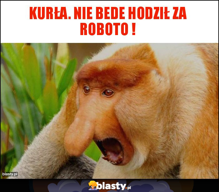 Kurła. Nie bede hodził za roboto !