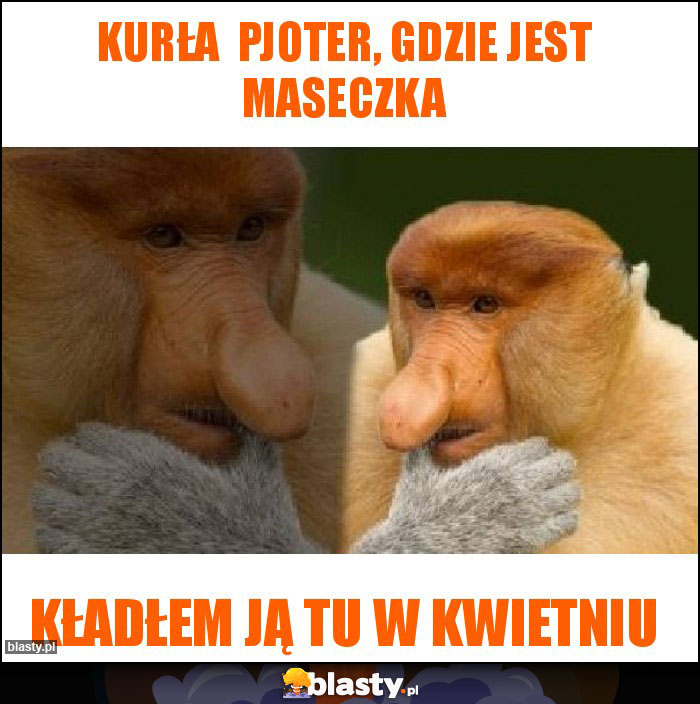 Kurła  pjoter, gdzie jest maseczka