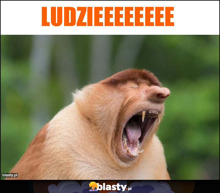 LUdzieeeeeeee