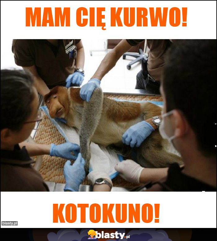 Mam Cię kurwo!