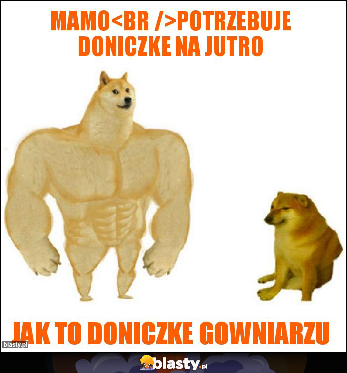 Mamo
Potrzebuje doniczke na jutro