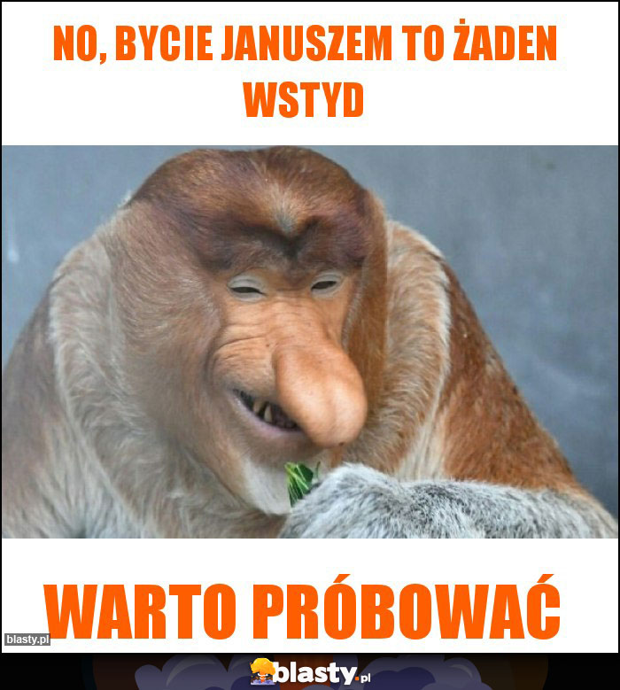 No, bycie Januszem to żaden wstyd