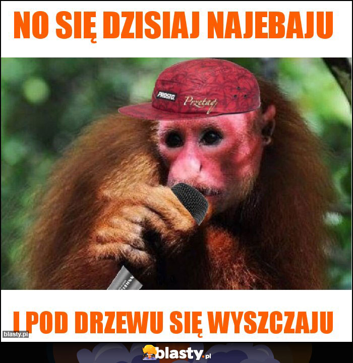 No się dzisiaj najebaju