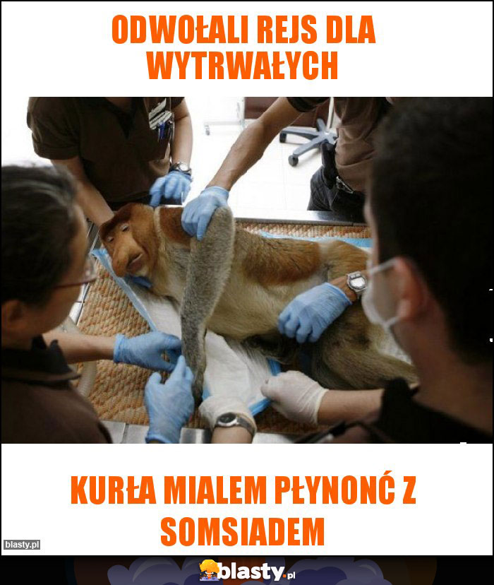 Odwołali Rejs dla Wytrwałych