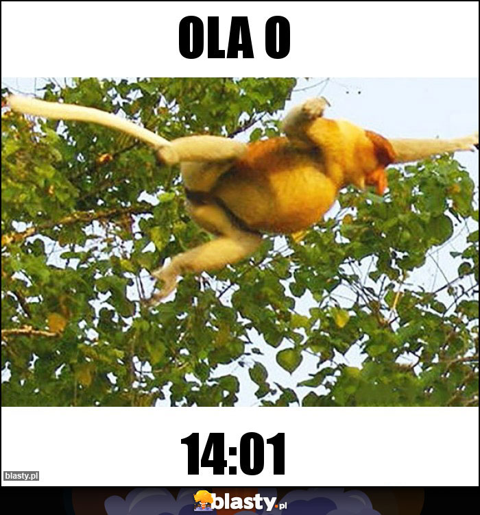 Ola o