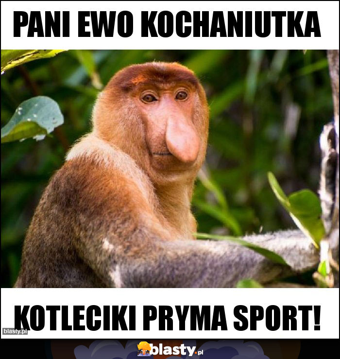 Pani Ewo kochaniutka