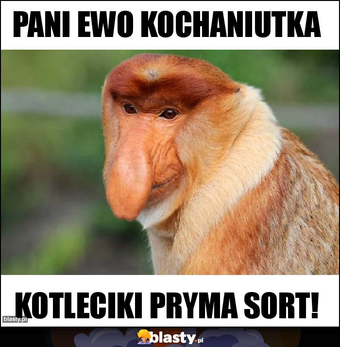 Pani Ewo kochaniutka