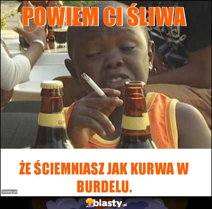 Powiem Ci śliwa