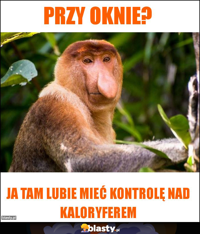 Przy oknie?