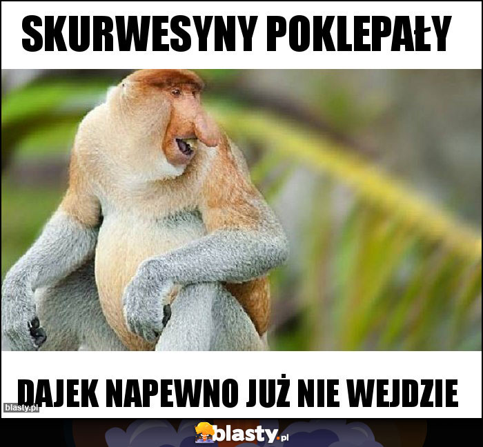 Skurwesyny poklepały