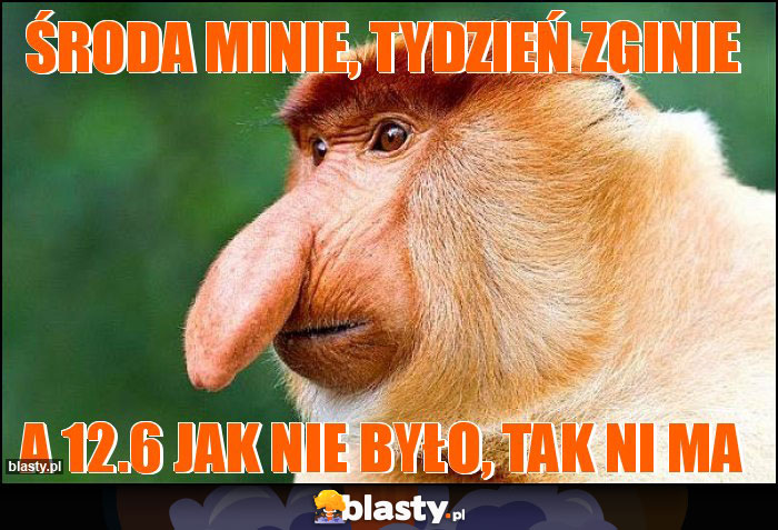 ŚRODA MINIE, TYDZIEŃ ZGINIE