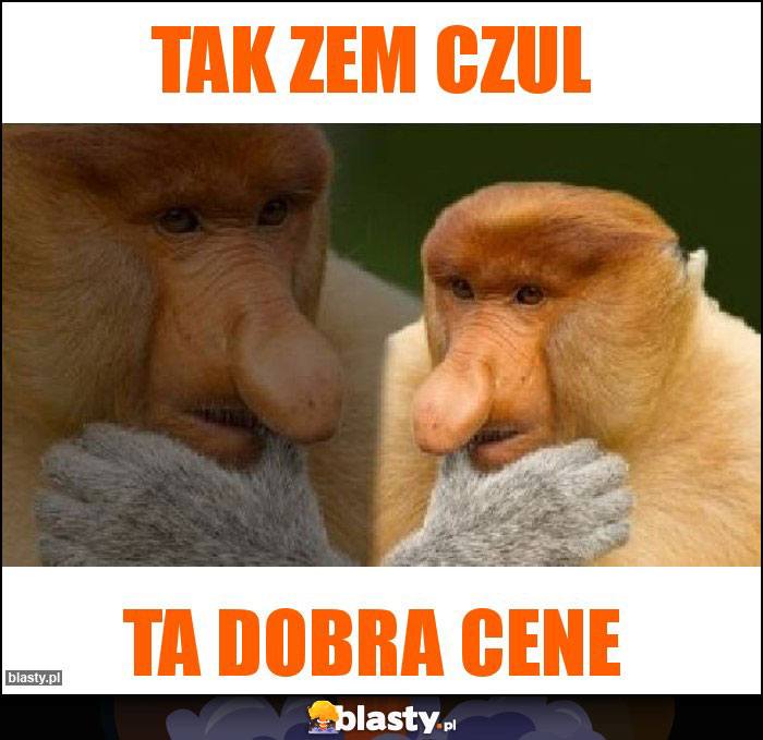 tak zem czul