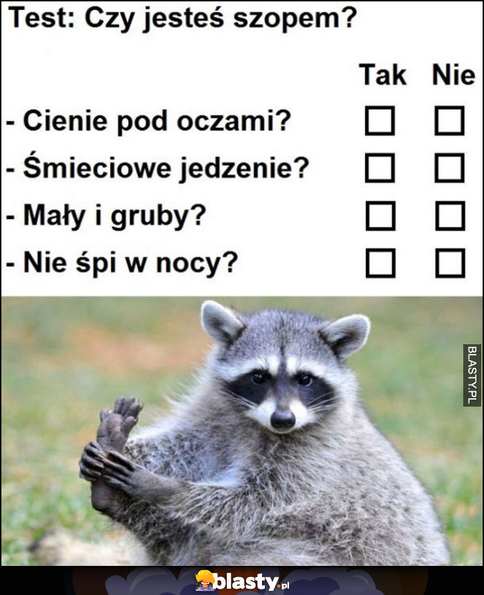 Test: czy jesteś szopem? Cienie pod oczami, śmieciowe jedzenie, mały i gruby, nie śpi w nocy