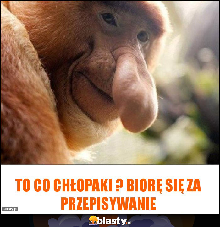 To co chłopaki ? biorę się za przepisywanie